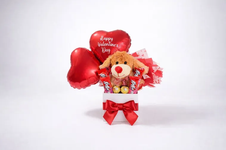 Osito con globos de corazón